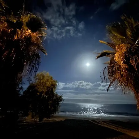 First Beachline Maritime Deluxe With Panorama-balcony In Sun Club